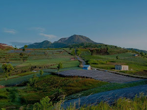 Kekayaan Tersembunyi : Potensi Sumber Daya Alam Sumatera Barat yang Terancam