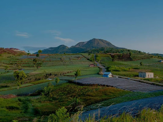Kekayaan Tersembunyi : Potensi Sumber Daya Alam Sumatera Barat yang Terancam